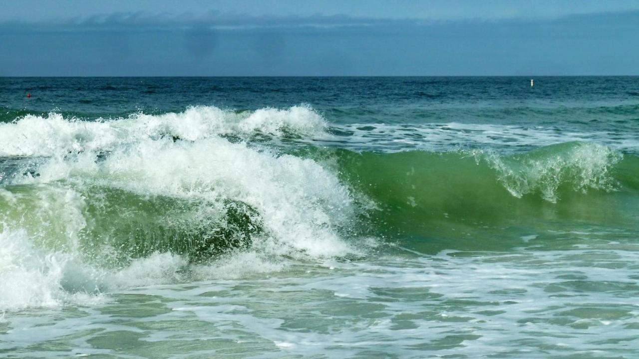 הוילה קלירווטר ביץ' Sea Shell 24 מראה חיצוני תמונה